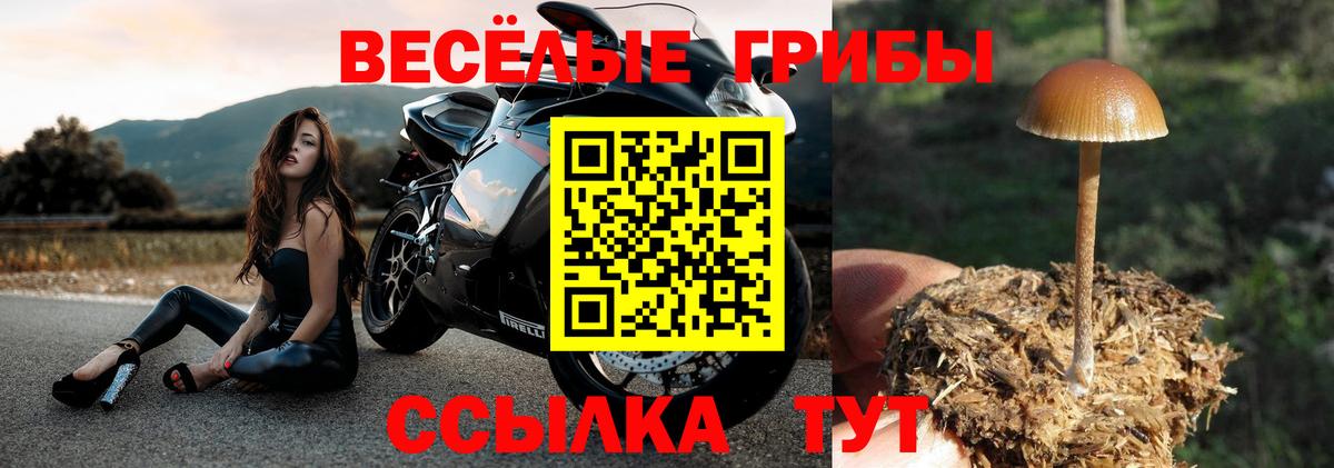 Можга  где найти наркотики  Псилоцибиновые грибы ЛСД  Вход с VPN  Галлюциногенные грибы прущие грибы 